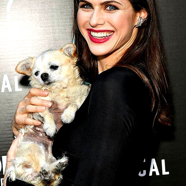 alexandradaddario instagram image archive image