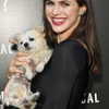 alexandradaddario Altpins Profile Picture