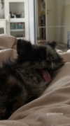 nina.kxs Altpins Profile Picture