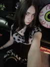 limecultt Altpins Profile Picture