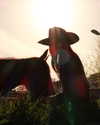tooonytoony Altpins Profile Picture