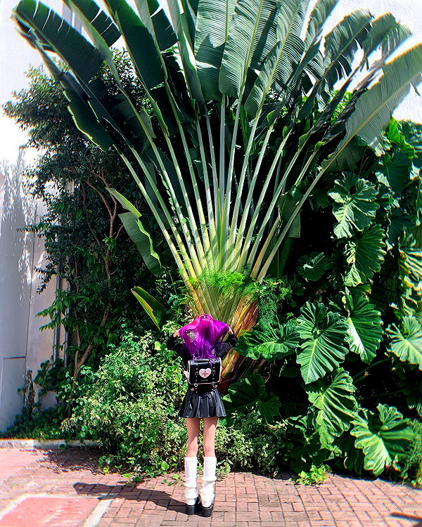 jadelaverne instagram image archive image