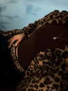 liron_vaitzman Altpins Profile Picture