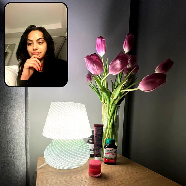 camimendes instagram image archive image