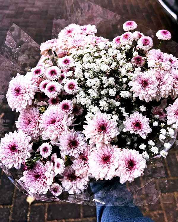 alma_ck_ instagram image archive image
