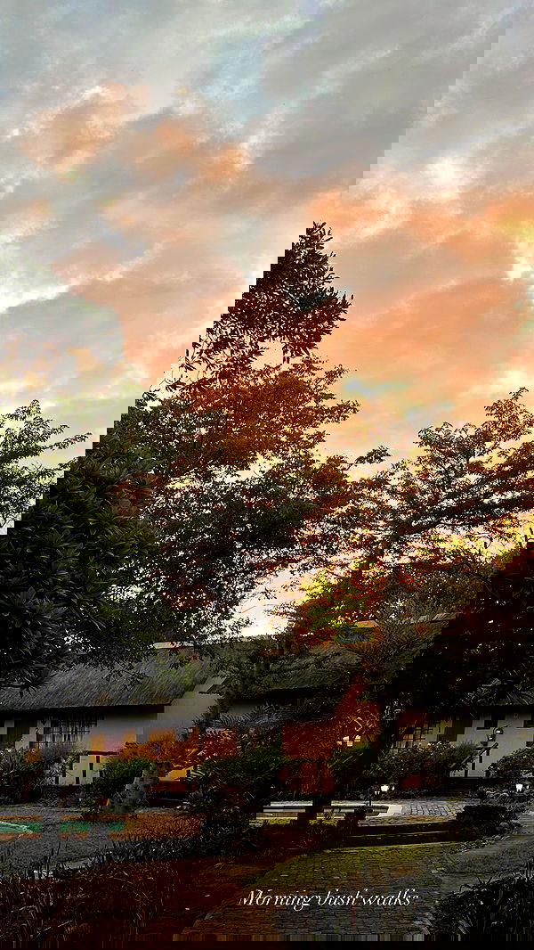 taylor.creeden taylor.creeden archive image