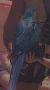alisen.mari Altpins Profile Picture