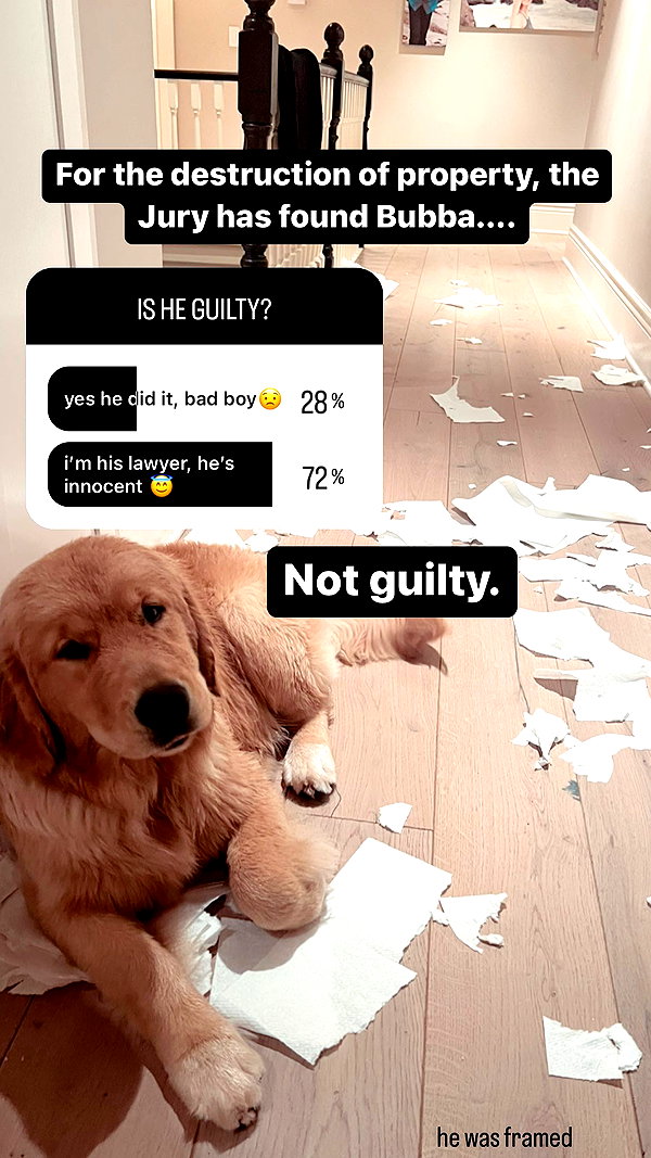 allie_dunn instagram image archive image