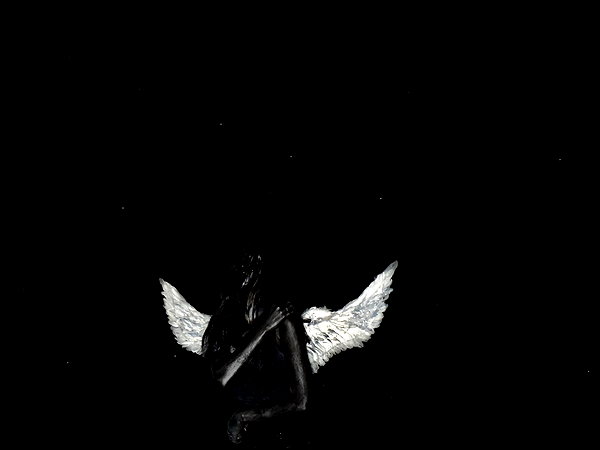 klywrxzzp instagram image archive image