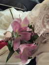 aseynat0r Altpins Profile Picture