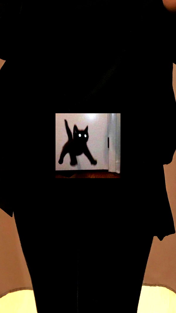 meiiisame archive image