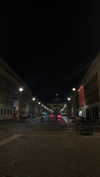 federica.piccinni Altpins Profile Picture
