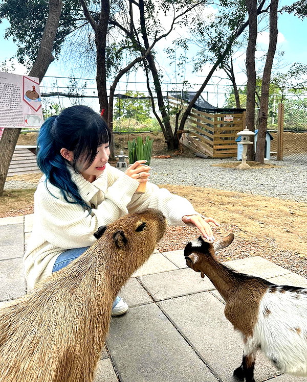 ____sy.02 instagram image archive image