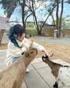 ____sy.02 Altpins Profile Picture