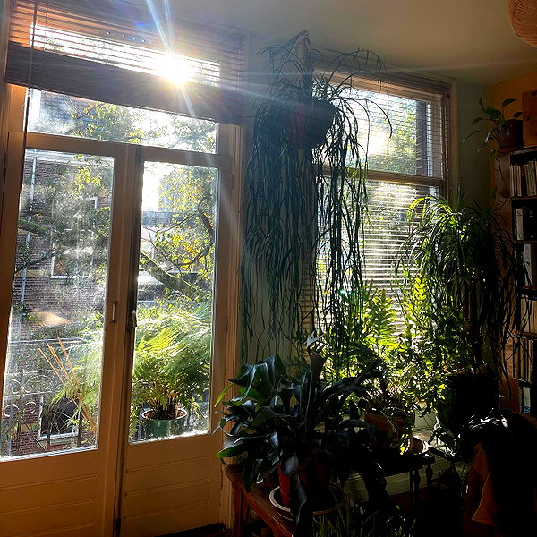 sydneygottlieb instagram image archive image
