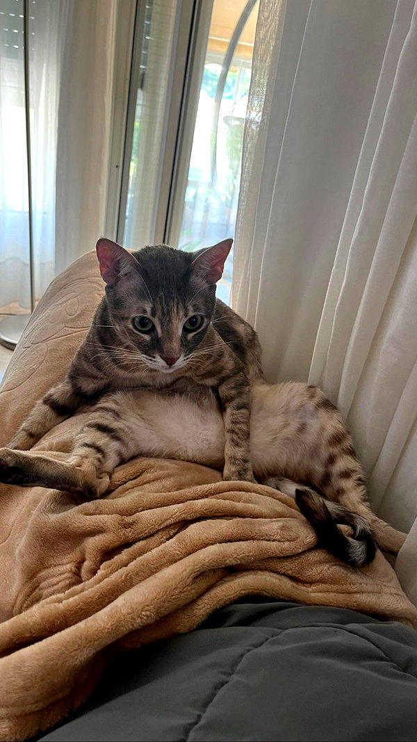 Archived image from @notchicore on Instagram
