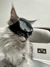 777pb_ Altpins Profile Picture