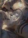 zommmbri Altpins Profile Picture