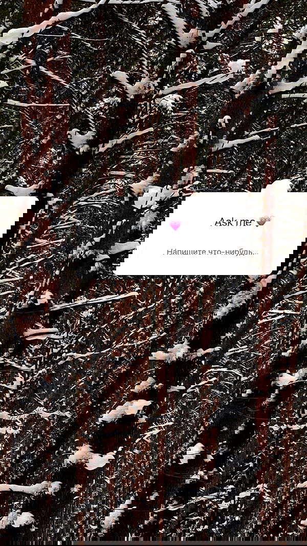 nyityam nyityam archive image