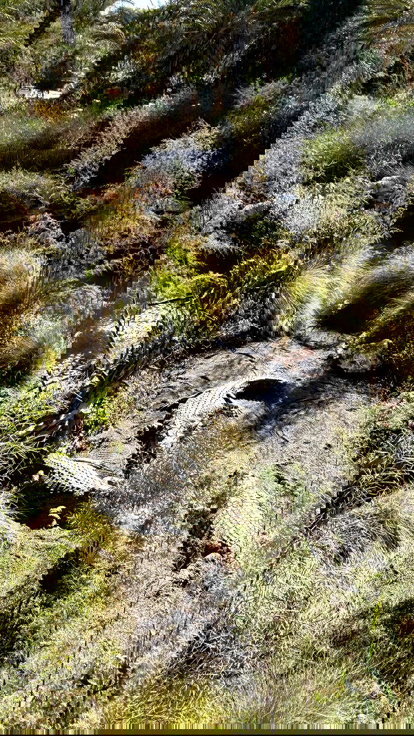 efrat_elmalich efrat_elmalich archive image