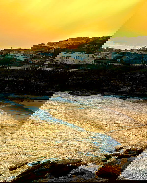 taylor.creeden taylor.creeden archive image