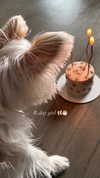 kkwwwv Altpins Profile Picture