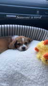 kyla.doddsss Altpins Profile Picture