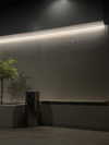 _m_a_y_c_ Altpins Profile Picture
