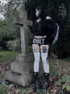 mollieruck Altpins Profile Picture