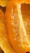 babynympho_archive Altpins Profile Picture