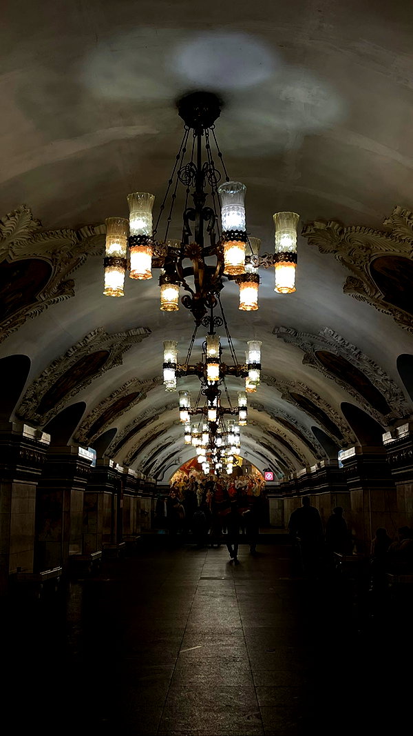 alishevs instagram image archive image