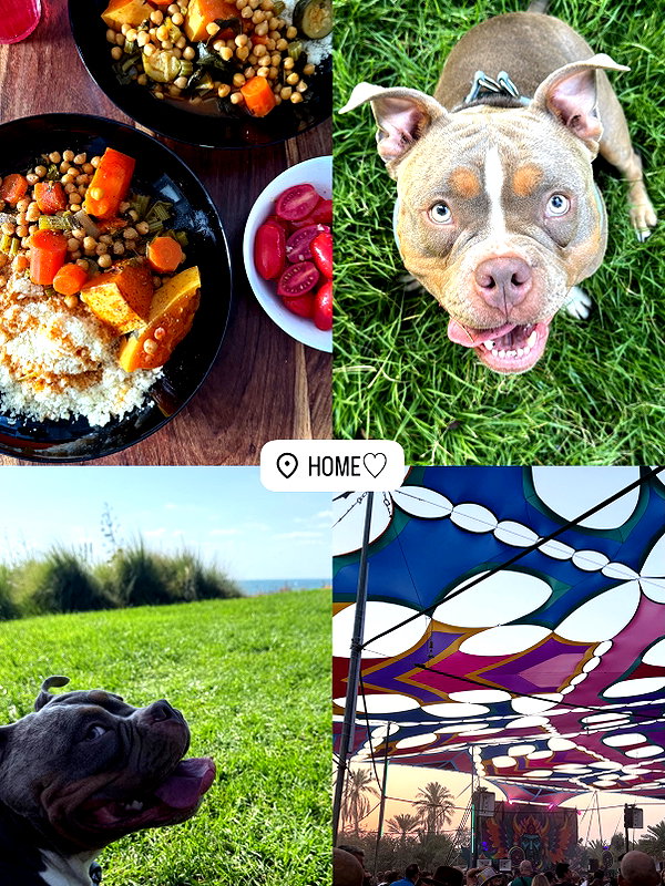 kesemgreenyer instagram image archive image