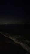 valeria.potti Altpins Profile Picture