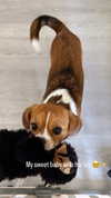 kyla.doddsss Altpins Profile Picture