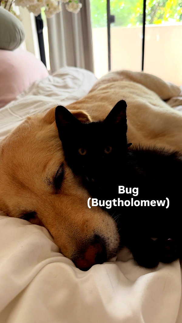 gabbyepstein instagram image archive image
