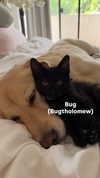 gabbyepstein Altpins Profile Picture