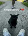 catl0verr69 Altpins Profile Picture
