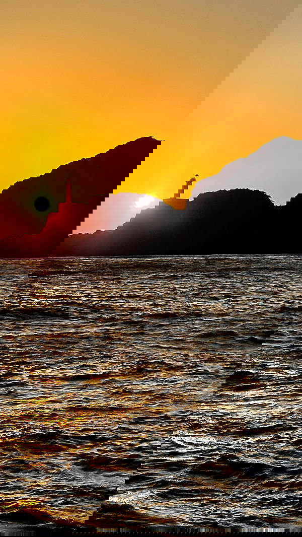 taylor.creeden taylor.creeden archive image