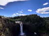 tatumchurch Altpins Profile Picture