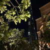 veroni22ka Altpins Profile Picture