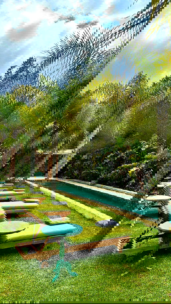 taylor.creeden taylor.creeden archive image