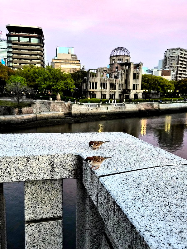 fitzbotan instagram image archive image