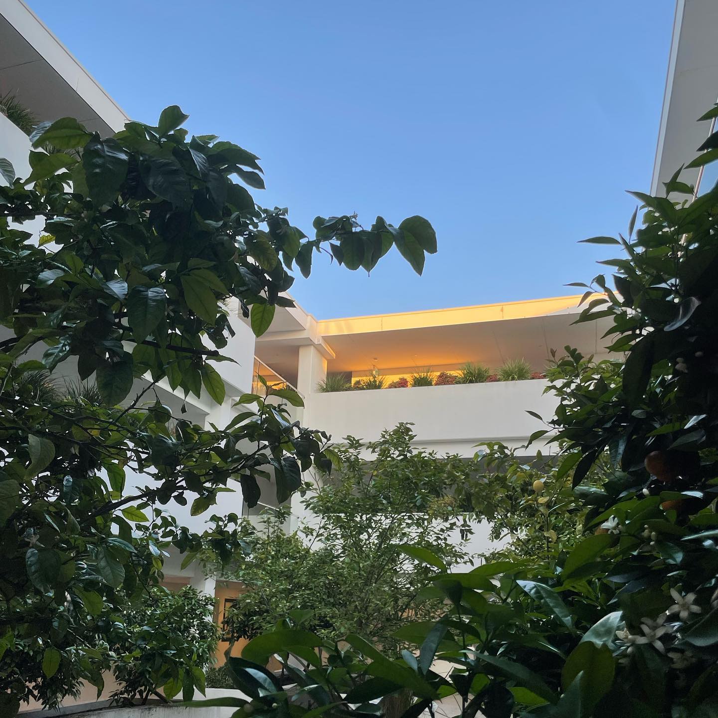 jtilb2 instagram image archive image