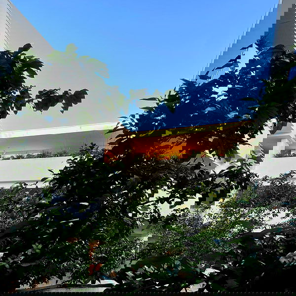 jtilb2 image ~ Altpins