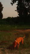 hadas_mayer_ Altpins Profile Picture