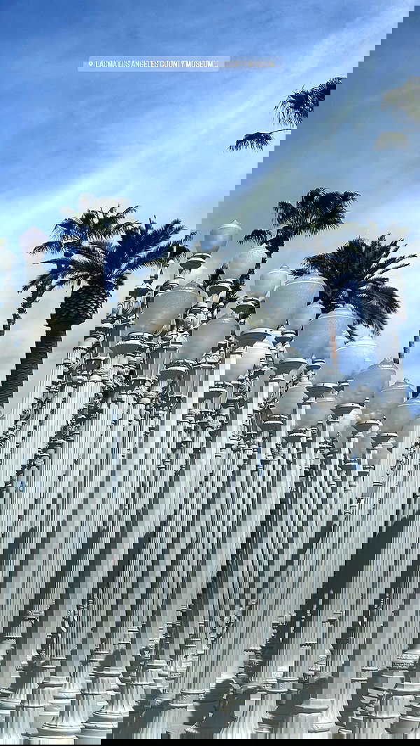 taylor.creeden taylor.creeden archive image