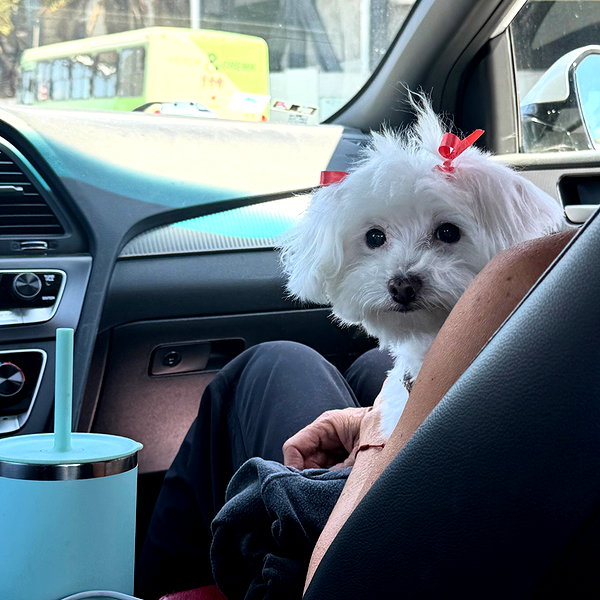 Archived image from @skyleraboujaoude on Instagram
