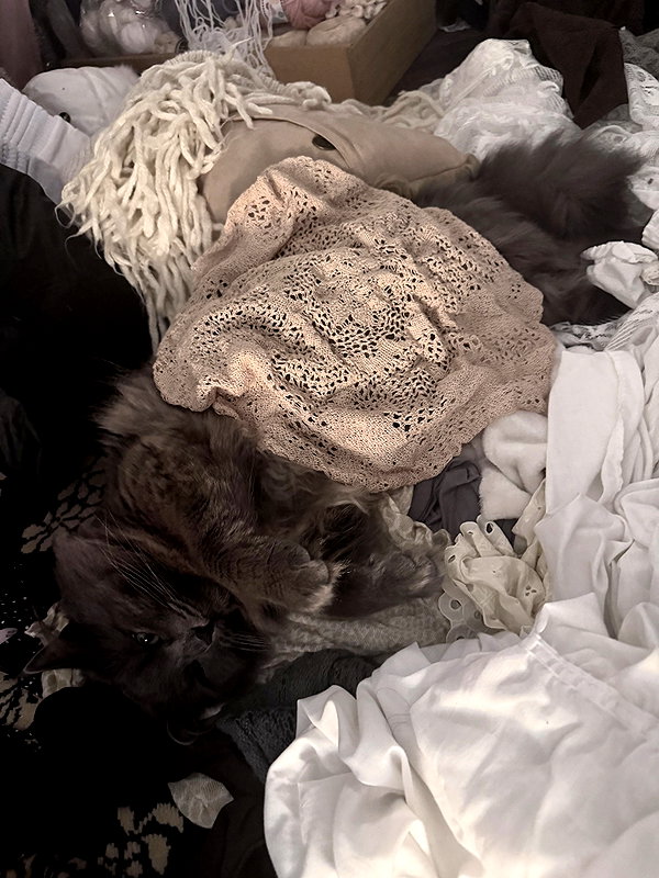 ash.onme instagram image archive image
