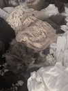 ash.onme Altpins Profile Picture