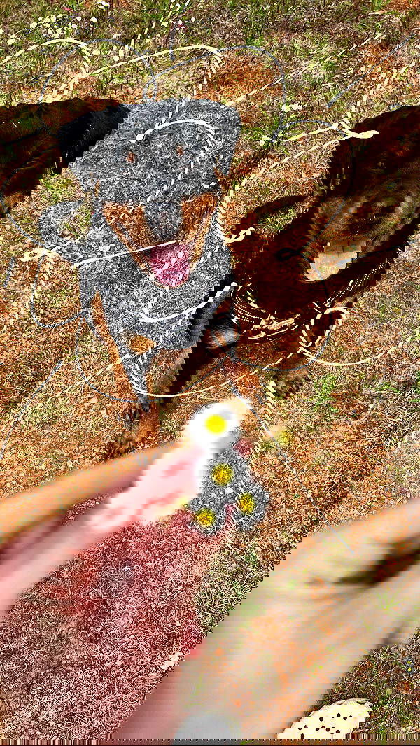 cyberbunniex cyberbunniex archive image